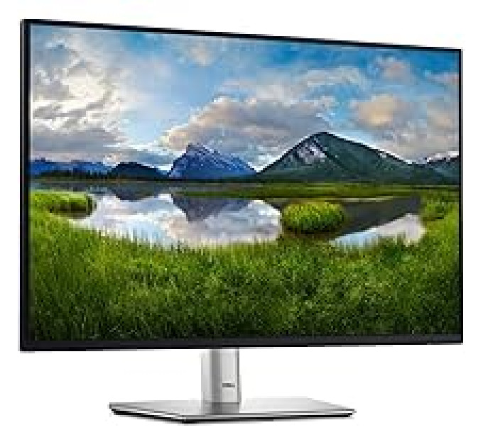 Монітор Dell P2425 (210-BMJD)